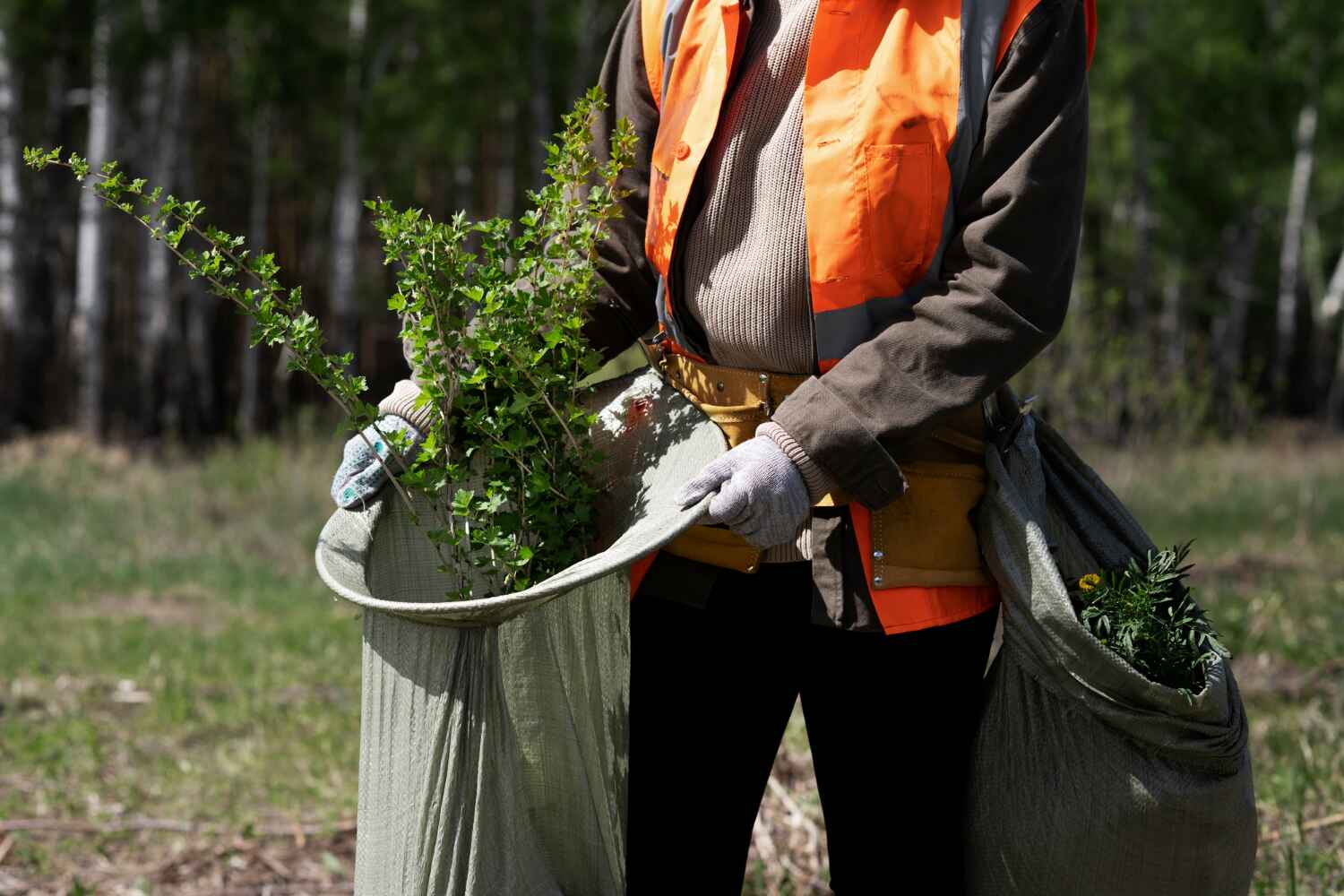 Best Tree Removal Near Me  in Haslett, MI